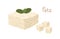 Greek soft curd cheese with green leaves. Piece and cubes of Feta chees. Crumbly dairy product. Colored flat vector
