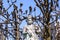 Greek statues in Mirabell gardens in Salzburg