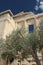 Greek temple and olive tree