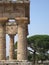 Greek Temple at Paestum Italy with background pine