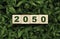 Green 2050 year on wooden block cube and green grass from Kyoto Protocol for carbon footprint and carbon credit to limit global