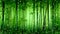 Green abstract bamboo forest with bokeh effect. Illustration of a magical rainforest