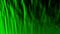 Green abstract curtain