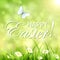 Green abstract Easter background