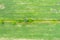 Green abstract image of diagonal lines from different crops in field in early summer, shoot from drone directly above ground