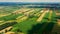 Green abstract image of diagonal lines from different crops in field in early summer  shoot from drone directly above ground