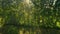 Green abstract image of diagonal lines from different crops in field in early summer shoot from drone directly above ground