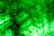 Green Abstract Trees