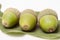 Green acorn from the tree three oak nuts with leaf isolated on white background