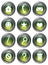 Green Action Buttons