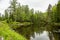 Green Adirondack mountains