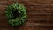 Green advent wreath of fir twigs mistletoes and berries hanging on a vintage wooden wall