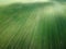 Green agricultural field, aerial view. Farmland landscape. Background