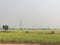 Green agricultural land besides highway