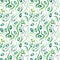 Green alga seamless pattern with natural watercolor illustrations of seaweed on the paper.