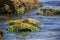 Green algae on a rock in the middle of the sea. Stone, rocks, algae and sea, shore and stones. Beautiful landscapes, seaside, natu