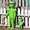 Green Alien Metal Garden Statues and Wooden Fence