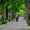 Green alley in the Riviera park. Footpath. People on a walk