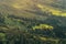 green alpine hills in the south of Russia