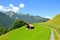 Green Alpine landscape above Lauterbrunnen in Switzerland captured in the summer season. Green meadows, typical wooden chalets.
