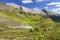 Green Alpine Meadow with Wildflowers and Distant Sawback Range Mountain Peaks Landscape