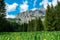 Green alpine meadow with yellow flowers and scenic view on mount Zinken in the Hochschwab Mountain Region in Styria, Austrian Alps