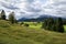 Green alpine meadows in Bavaria