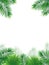 Green amazon border frame with exotic jungle plants, palm leaves, monstera and place for text. Summer foliage vector