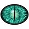 Green animal eye with large pupil and bright retina in background. Dark green iris