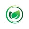 Green anture leaf circle ring plant logo design