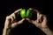 Green apple on a black background. Men`s hands divide an apple into two parts