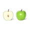 Green apple with cut half sketch draw isolated