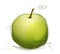 Green Apple Illustration