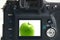 Green apple picture