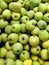 Green apple texture: lots of green apples. Apples storage.
