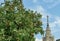 Green apple trees and their fruits in autumn campus of famous Russian university