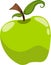 Green apple vector