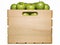 Green Apples in Fruit Crate