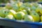 Green apples (Golden Delicious)