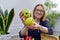 Green apples in hands of woman nutritionist, healthy eating