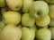 Green apples have many nutrients that are needed by the body, especially for mothers who are pregnant and breastfeeding