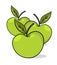 Green apples illustration