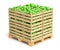 Green apples in wooden crates