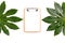 Green aralia leaves and clipboard mockup