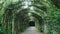 Green arch alley