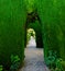 Green archway, Alhambra palace