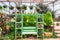 green armchair set garden decorate