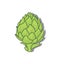 Green artichoke close-up isolated, healthy food concept, organic plant, vector illustration on white. Design element for