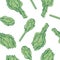 Green artichokes hand drawn vector seamless pattern on white. Fresh vegetable objects. Detailed vegetarian food drawing