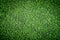 Green Artifact grass top view for indoor sport